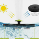 Visualizza l'immagine a dimensione intera