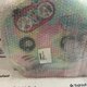 ნახეთ სრული ზომის სურათი