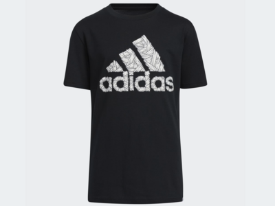 大きい画像で見る